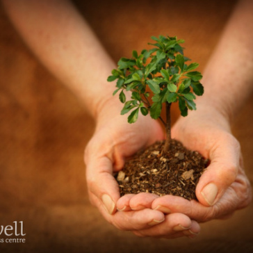 Live Well Spa & Wellness Centre