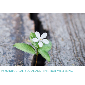 Wellbeing Therapy Space